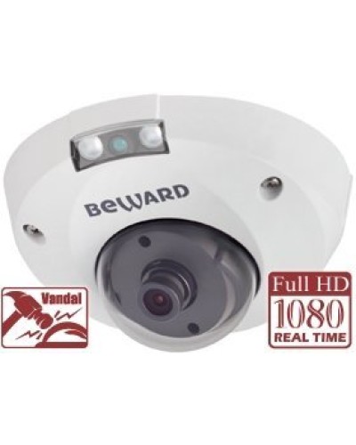 NK55630D8. IP-камера купольная. Beward в Кирове