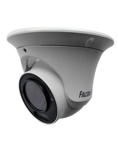 FE-IPC-DV2-40pa. Видеокамера IP купольная. Falcon EYE в Кирове
