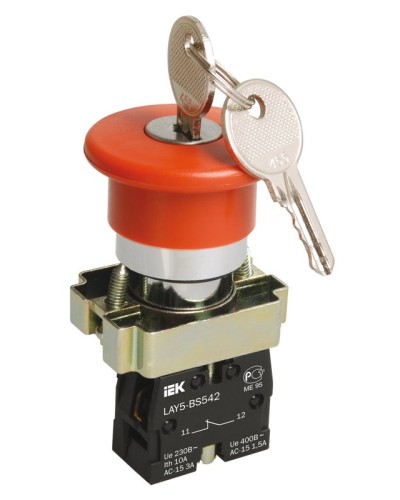 Кнопка LAY5-BS142 Грибок с ключом D22мм (BBG50-LAY5-K04). Кнопка. IEK в Кирове