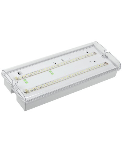 Светильник аварийный ДПА 5042-3 3ч IP65 LIGHTING (LDPA0-5042-3-65-K01). Светильник аварийный универсальный. IEK в Кирове
