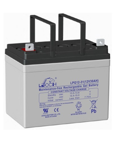 LEOCH LPG 12-31. Аккумулятор герметичный свинцово-кислотный. LEOCH в Кирове