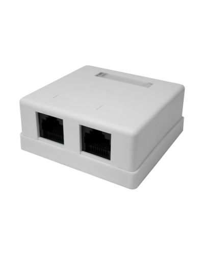 Розетка настенная RJ-45, 8P8C, Cat.5e, 2 порта UTP (10-0309): Компьютерная розетка в Кирове